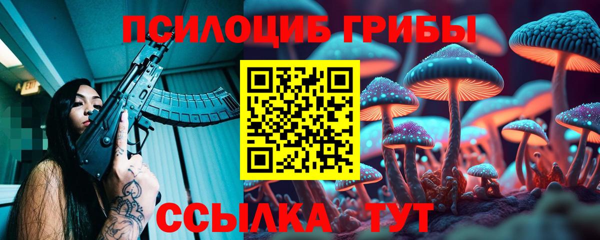Псилоцибиновые грибы Cubensis  Вход с VPN  Кыштым 